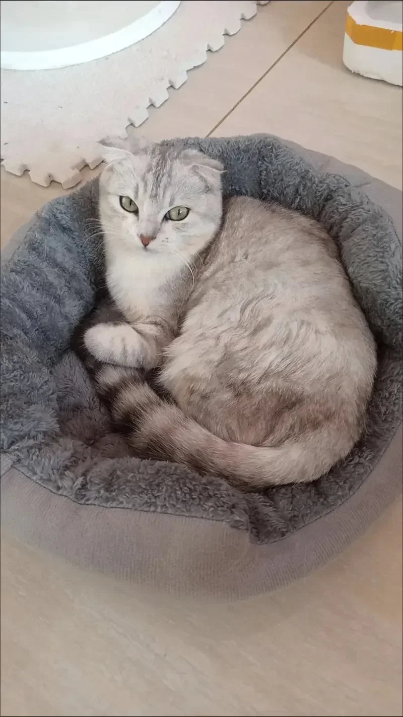 Soft Warm Dog Bed Pets Basket Cat House Sofa for Medium Large Dog Sofa Bed Cushion Dog Bed House Pet Supplies Accessories